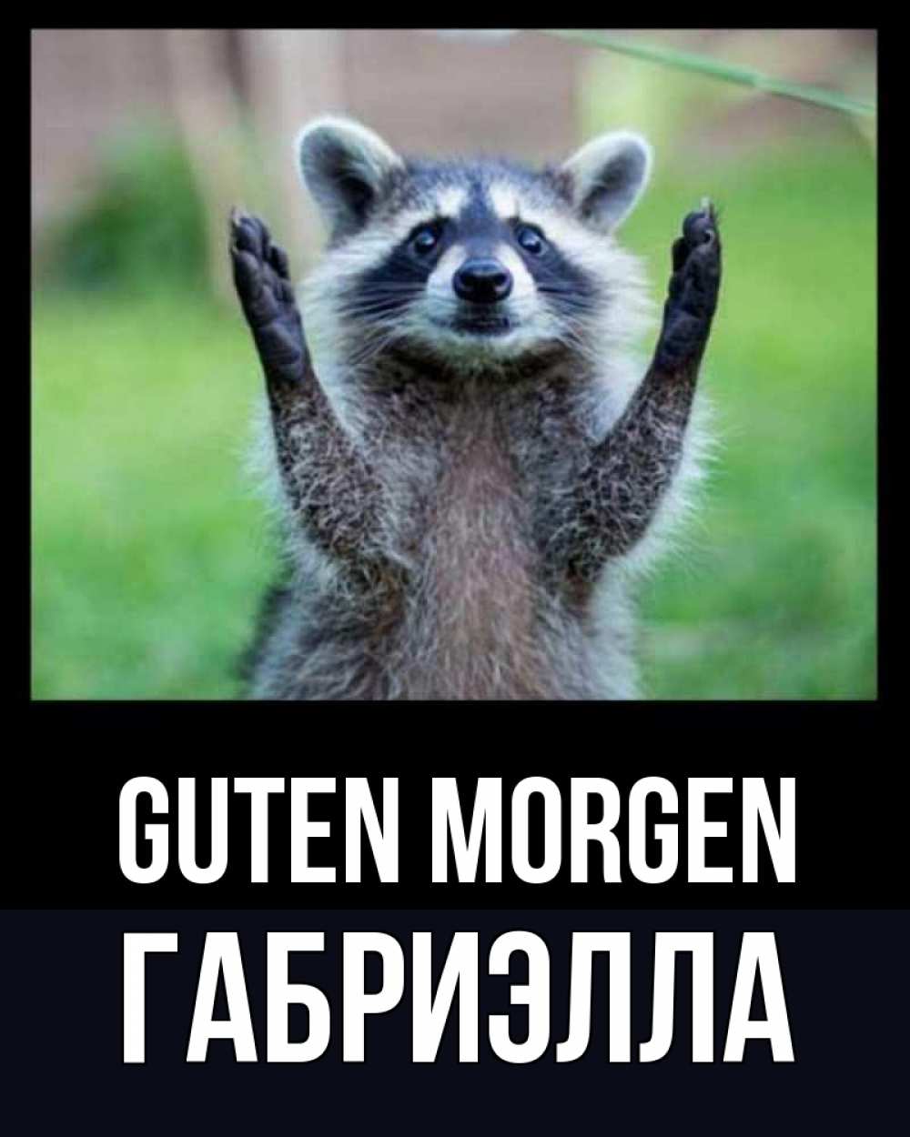 Открытка на каждый день с именем, Габриэлла Guten Morgen хорошее настроение утречком Прикольная открытка с пожеланием онлайн скачать бесплатно 