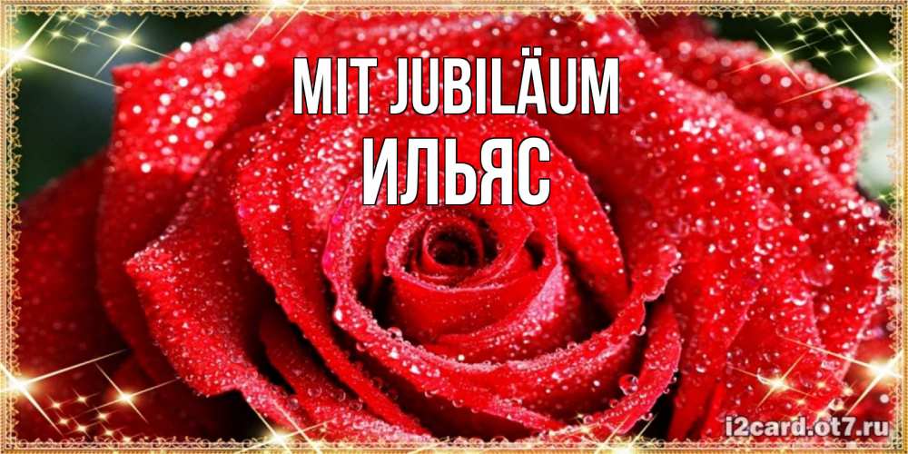 Открытка на каждый день с именем, Ильяс Mit Jubiläum роса и роза. открытка с красивой розой Прикольная открытка с пожеланием онлайн скачать бесплатно 