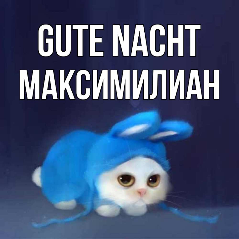 Открытка на каждый день с именем, Максимилиан Gute Nacht кот в голубом костюме кролика с ушками Прикольная открытка с пожеланием онлайн скачать бесплатно 