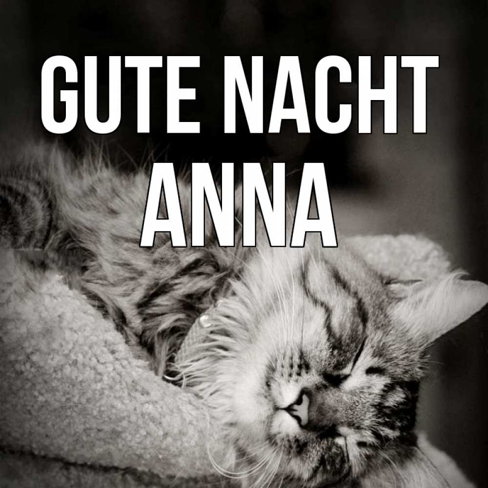 Открытка на каждый день с именем, Anna Gute Nacht котярик пушистый Прикольная открытка с пожеланием онлайн скачать бесплатно 