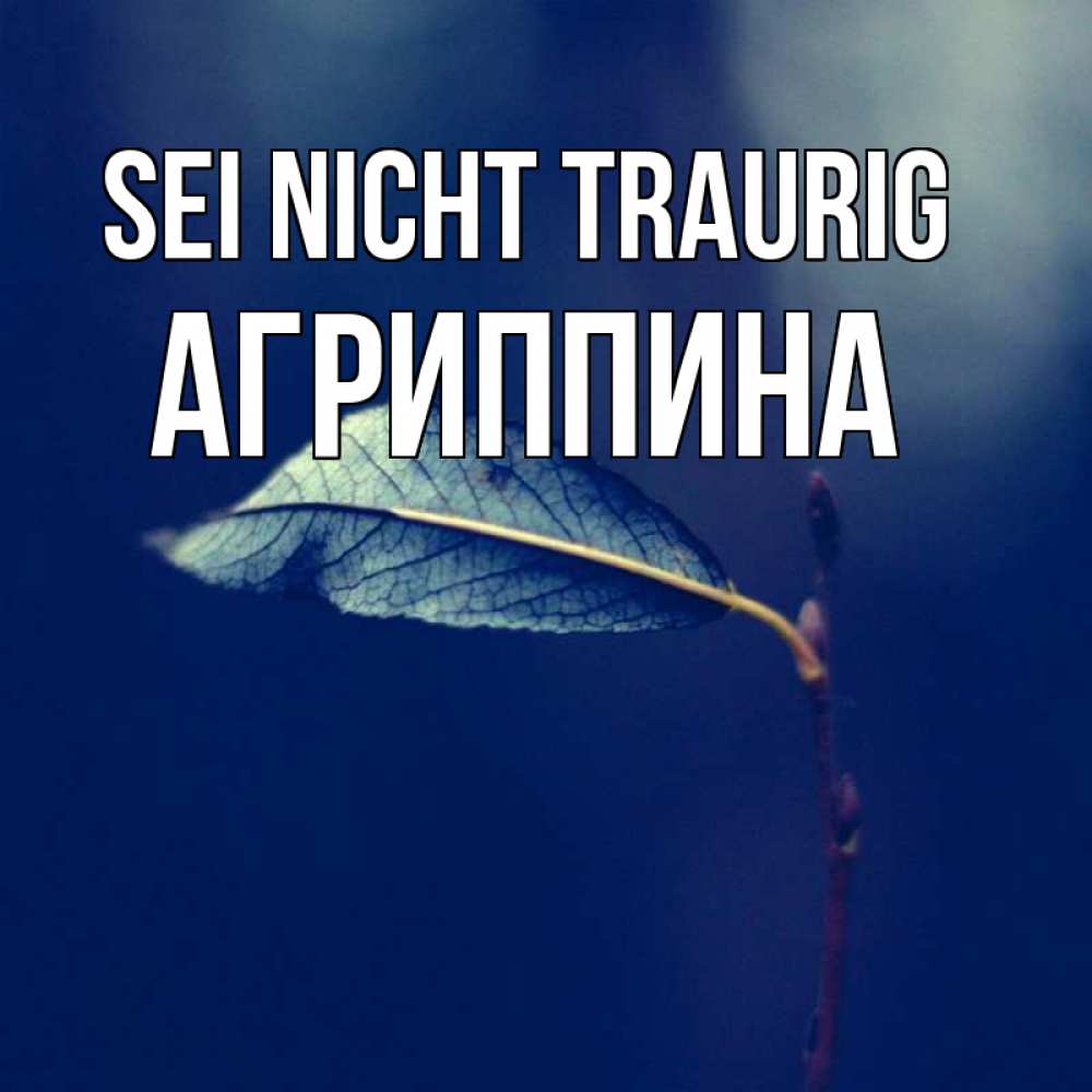 Открытка на каждый день с именем, Агриппина Sei nicht traurig растение Прикольная открытка с пожеланием онлайн скачать бесплатно 