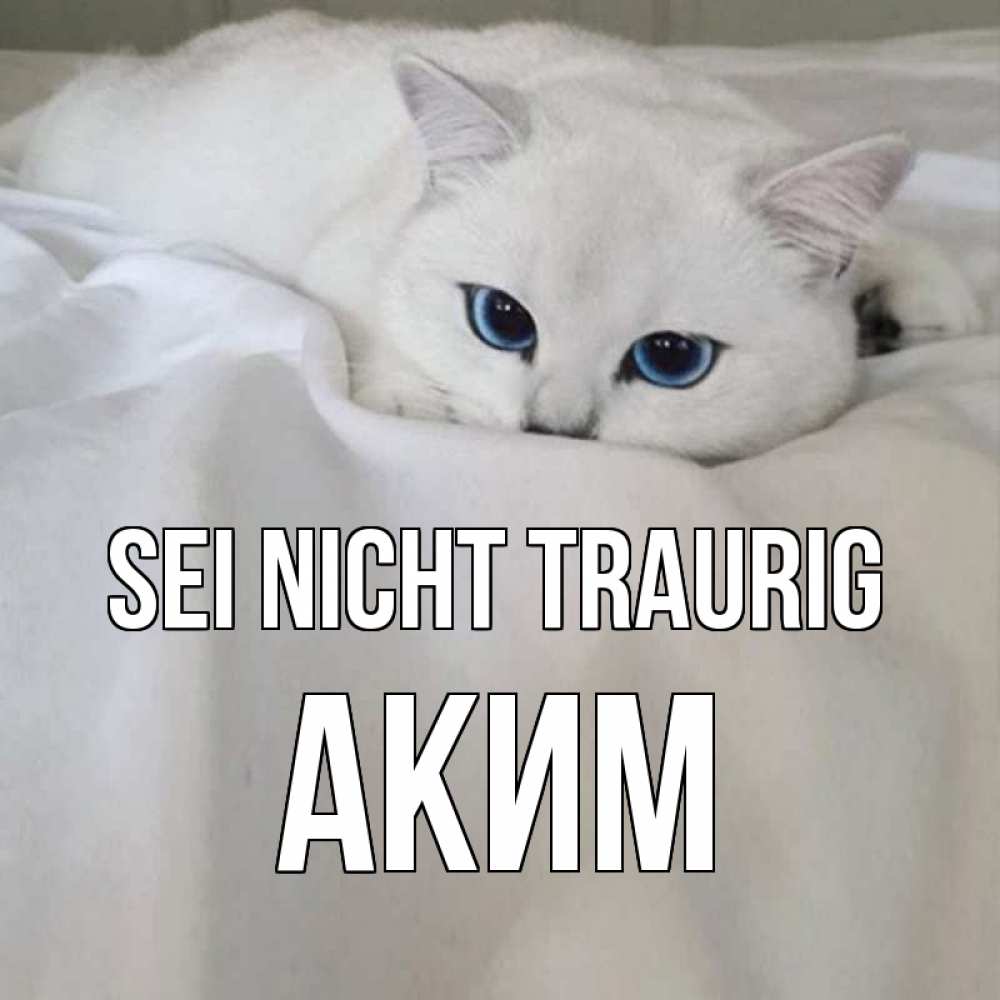 Открытка на каждый день с именем, Аким Sei nicht traurig белый кот с голубыми глазами на белоснежной кровати Прикольная открытка с пожеланием онлайн скачать бесплатно 