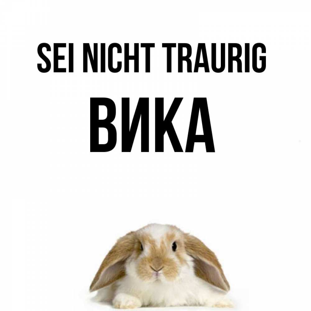 Открытка на каждый день с именем, Вика Sei nicht traurig коричнево белый заяц с большими ушками Прикольная открытка с пожеланием онлайн скачать бесплатно 