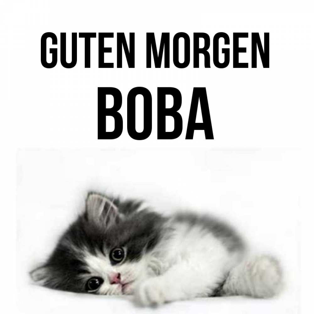 Открытка на каждый день с именем, Вова Guten Morgen кот лапки Прикольная открытка с пожеланием онлайн скачать бесплатно 