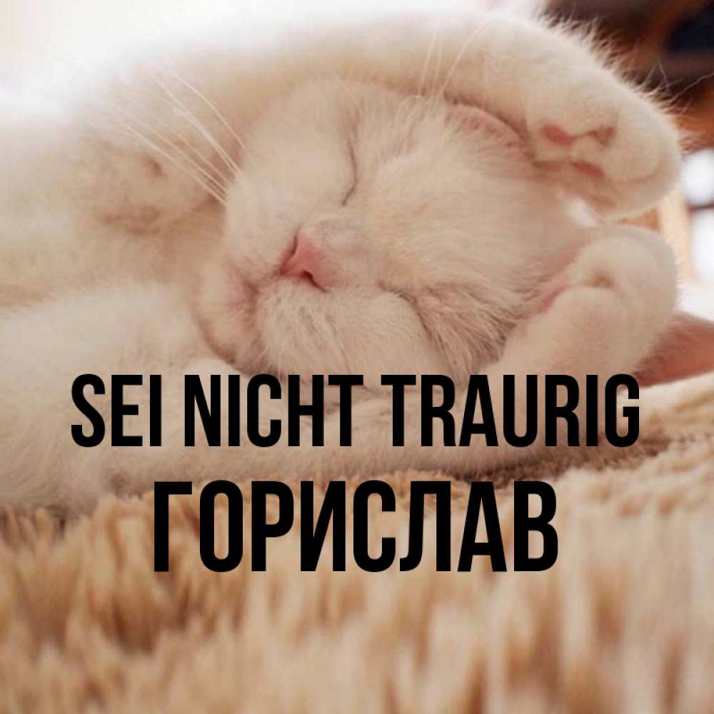 Открытка на каждый день с именем, Горислав Sei nicht traurig Котенок спит Прикольная открытка с пожеланием онлайн скачать бесплатно 