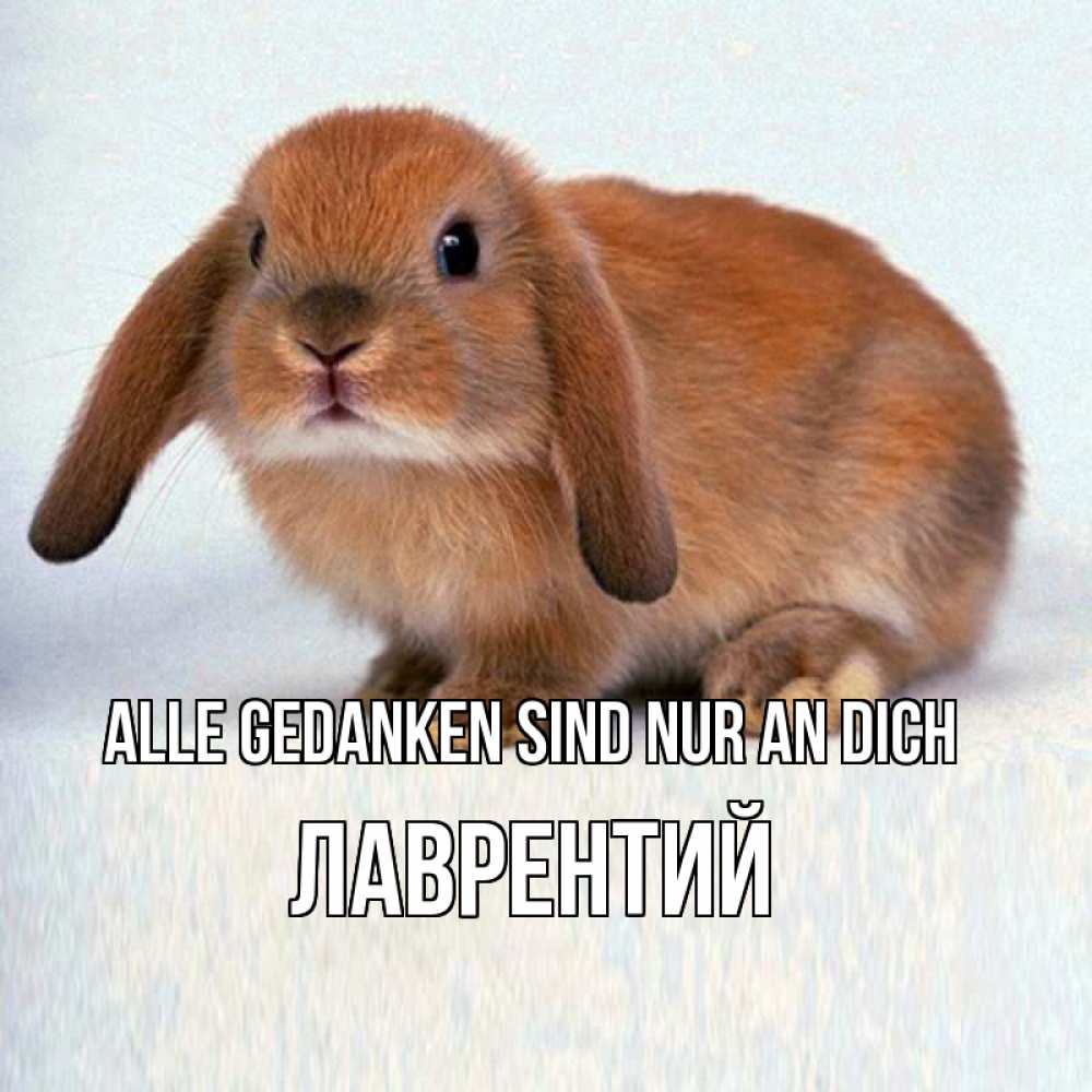 Открытка на каждый день с именем, Лаврентий Alle Gedanken sind nur an dich кроль коричневый Прикольная открытка с пожеланием онлайн скачать бесплатно 