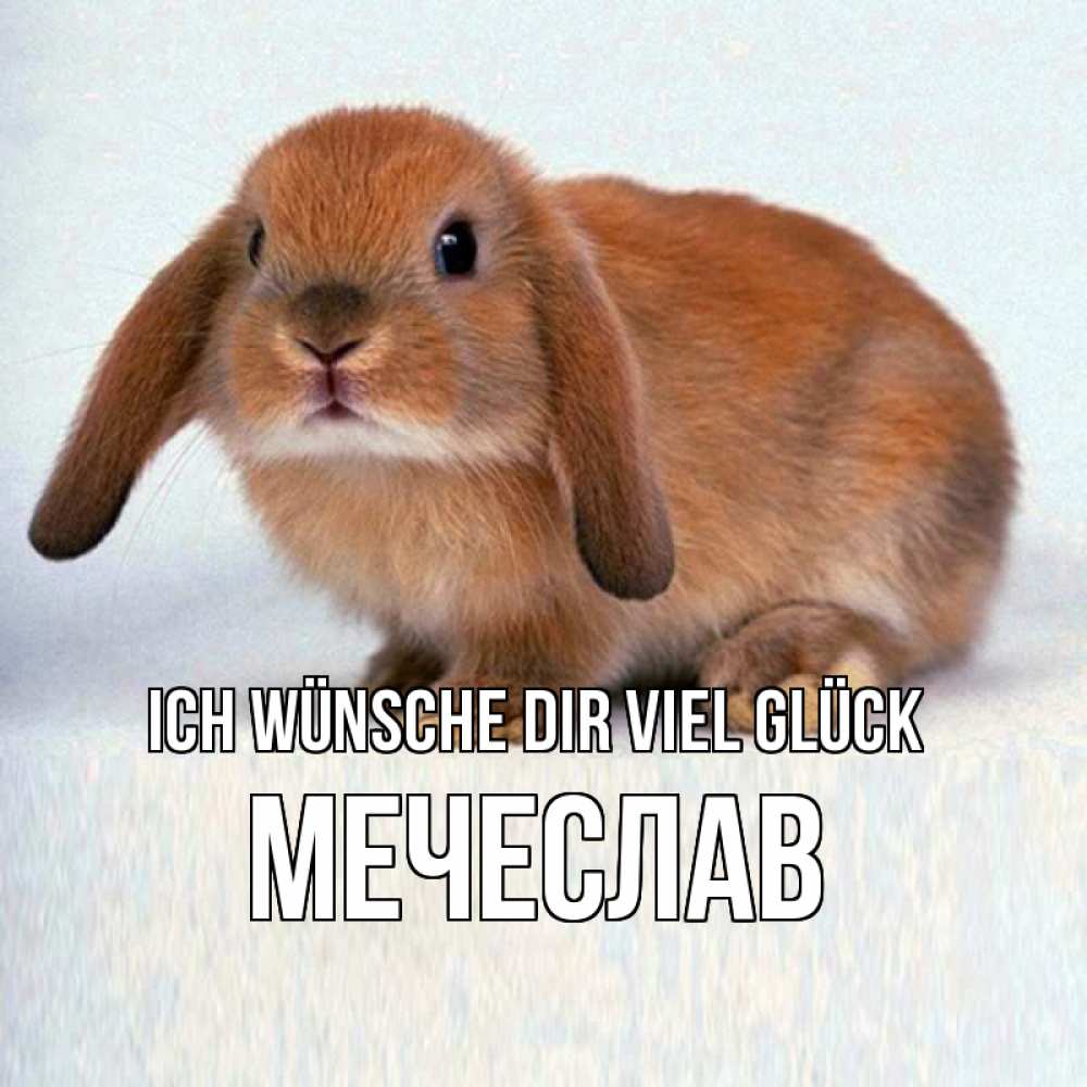 Открытка на каждый день с именем, Мечеслав Ich wünsche dir viel Glück вставить текст в открытку по выбору Прикольная открытка с пожеланием онлайн скачать бесплатно 