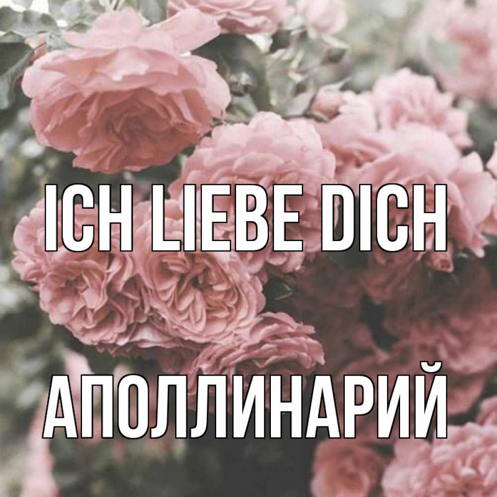Открытка на каждый день с именем, Аполлинарий Ich liebe dich розы 3 Прикольная открытка с пожеланием онлайн скачать бесплатно 