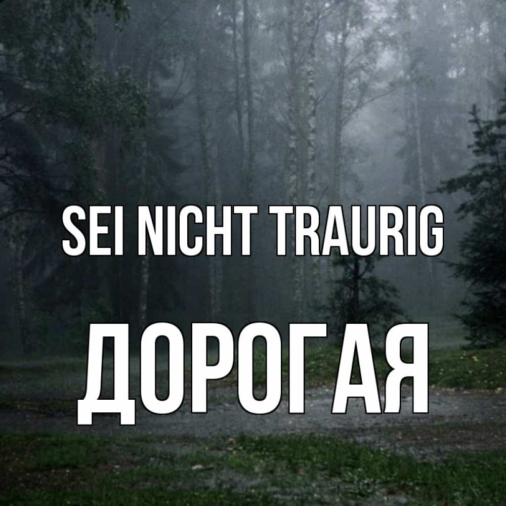 Открытка на каждый день с именем, Дорогая Sei nicht traurig осень Прикольная открытка с пожеланием онлайн скачать бесплатно 