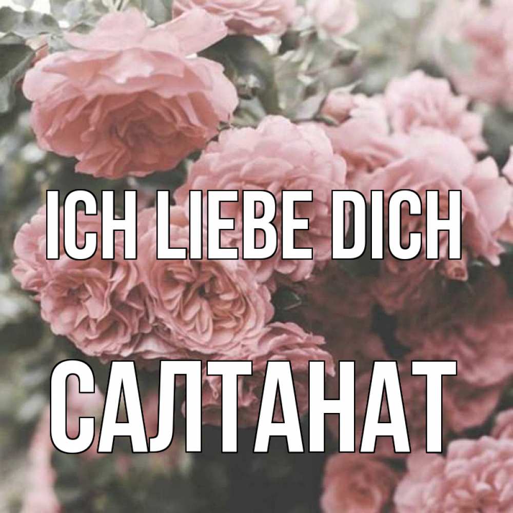 Открытка на каждый день с именем, Салтанат Ich liebe dich розы 3 Прикольная открытка с пожеланием онлайн скачать бесплатно 