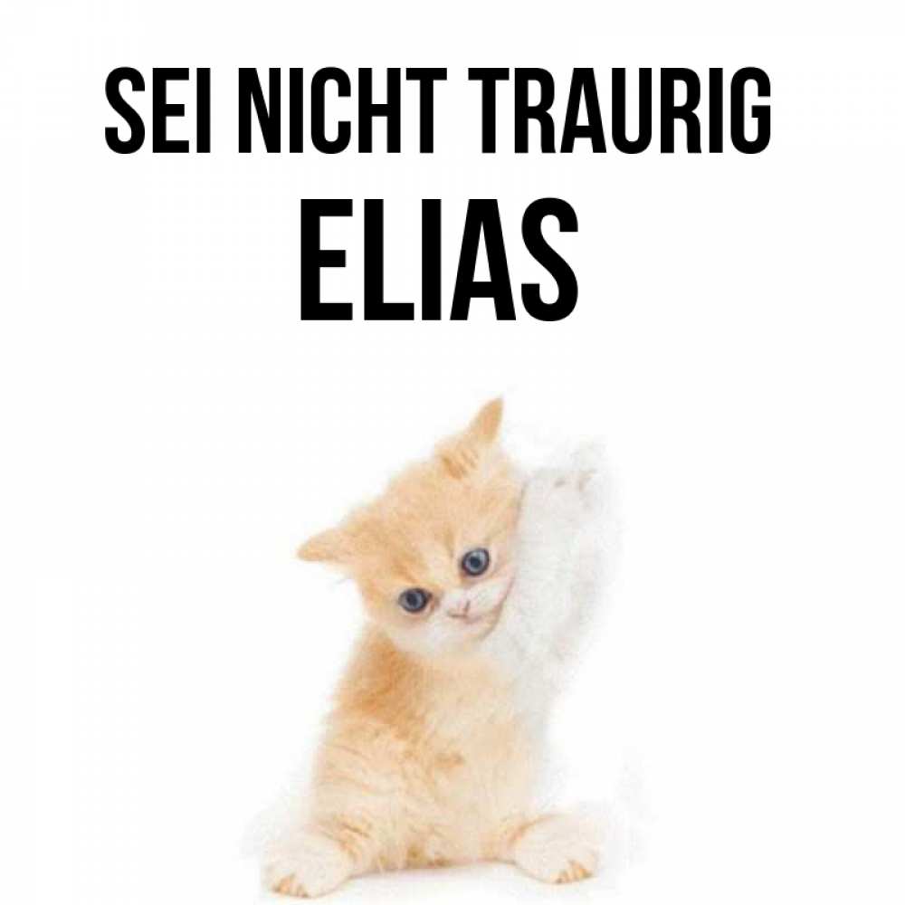 Открытка на каждый день с именем, Elias Sei nicht traurig просящий кот Прикольная открытка с пожеланием онлайн скачать бесплатно 