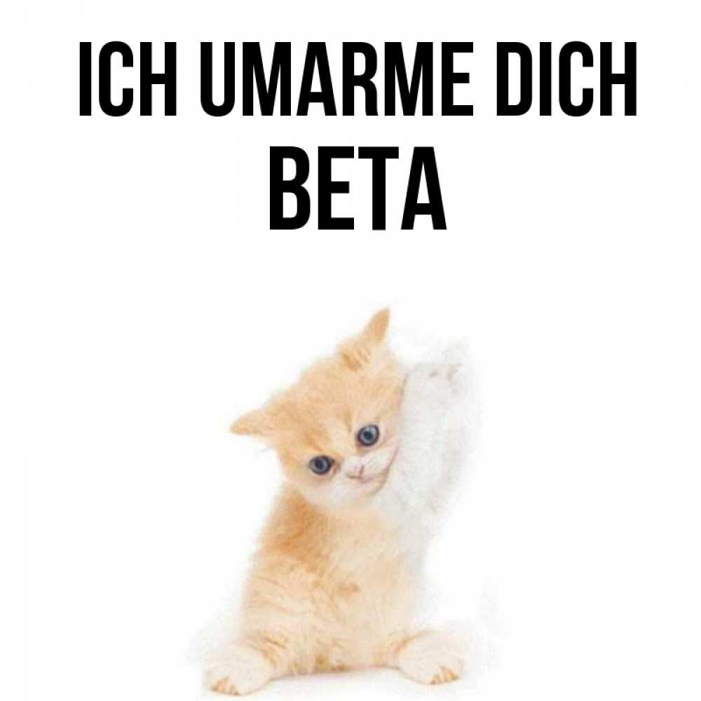 Открытка на каждый день с именем, Вета Ich umarme dich я хочу очень скорее обнимаешек Прикольная открытка с пожеланием онлайн скачать бесплатно 