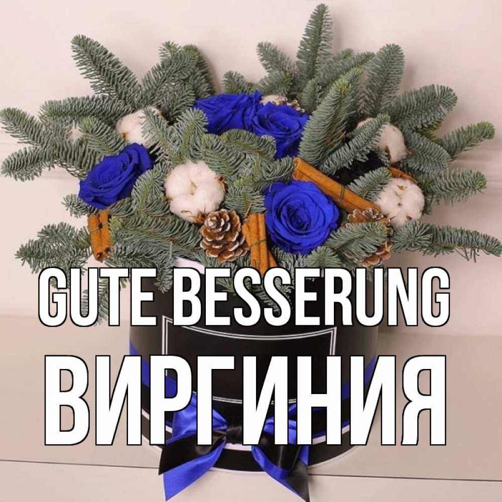 Открытка на каждый день с именем, Виргиния Gute Besserung короче кто то загрузил эти шишки Прикольная открытка с пожеланием онлайн скачать бесплатно 