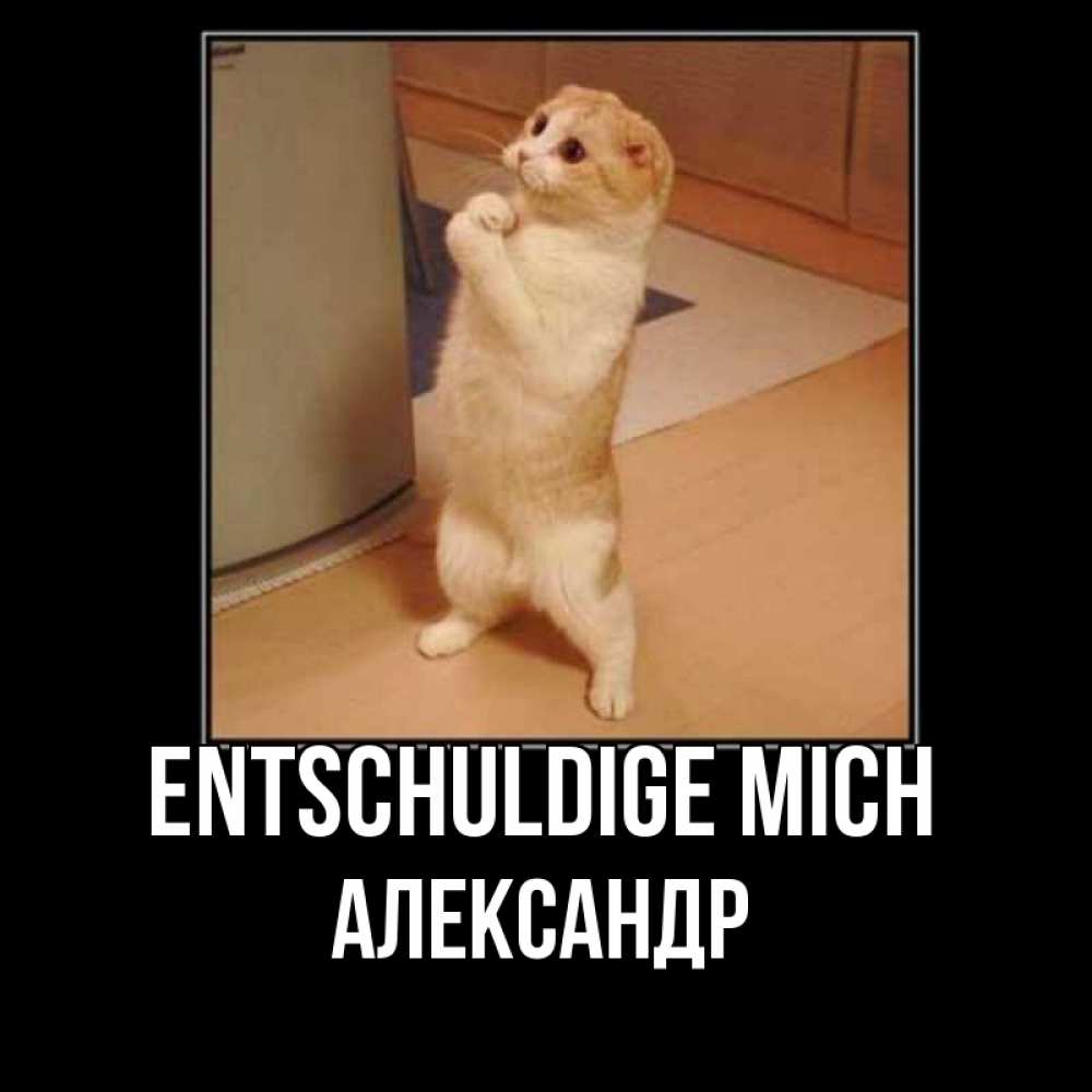 Открытка на каждый день с именем, Александр Entschuldige mich открытка с милым несчастным котиком просящим прощения Прикольная открытка с пожеланием онлайн скачать бесплатно 