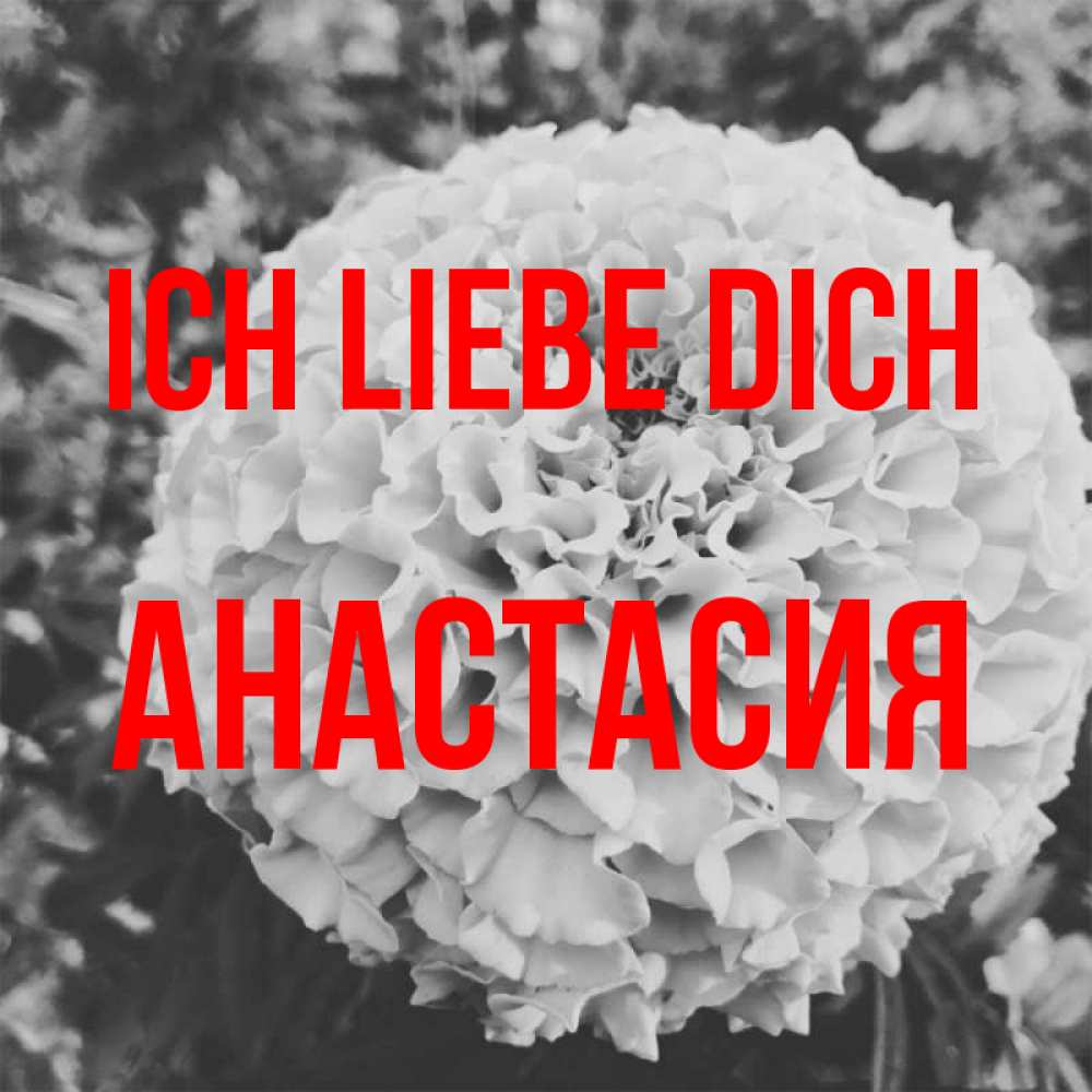Открытка на каждый день с именем, Анастасия Ich liebe dich подпись Прикольная открытка с пожеланием онлайн скачать бесплатно 