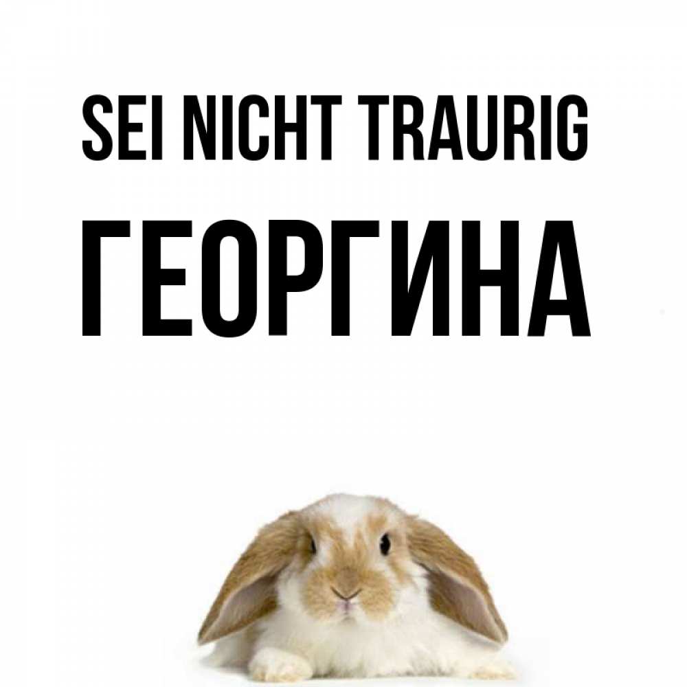 Открытка на каждый день с именем, Георгина Sei nicht traurig коричнево белый заяц с большими ушками Прикольная открытка с пожеланием онлайн скачать бесплатно 