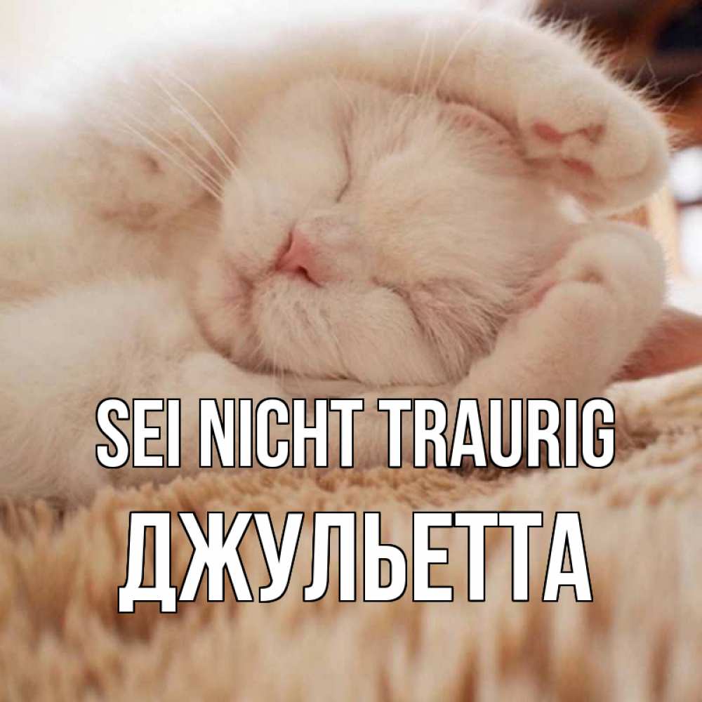 Открытка на каждый день с именем, Джульетта Sei nicht traurig белый кот Прикольная открытка с пожеланием онлайн скачать бесплатно 