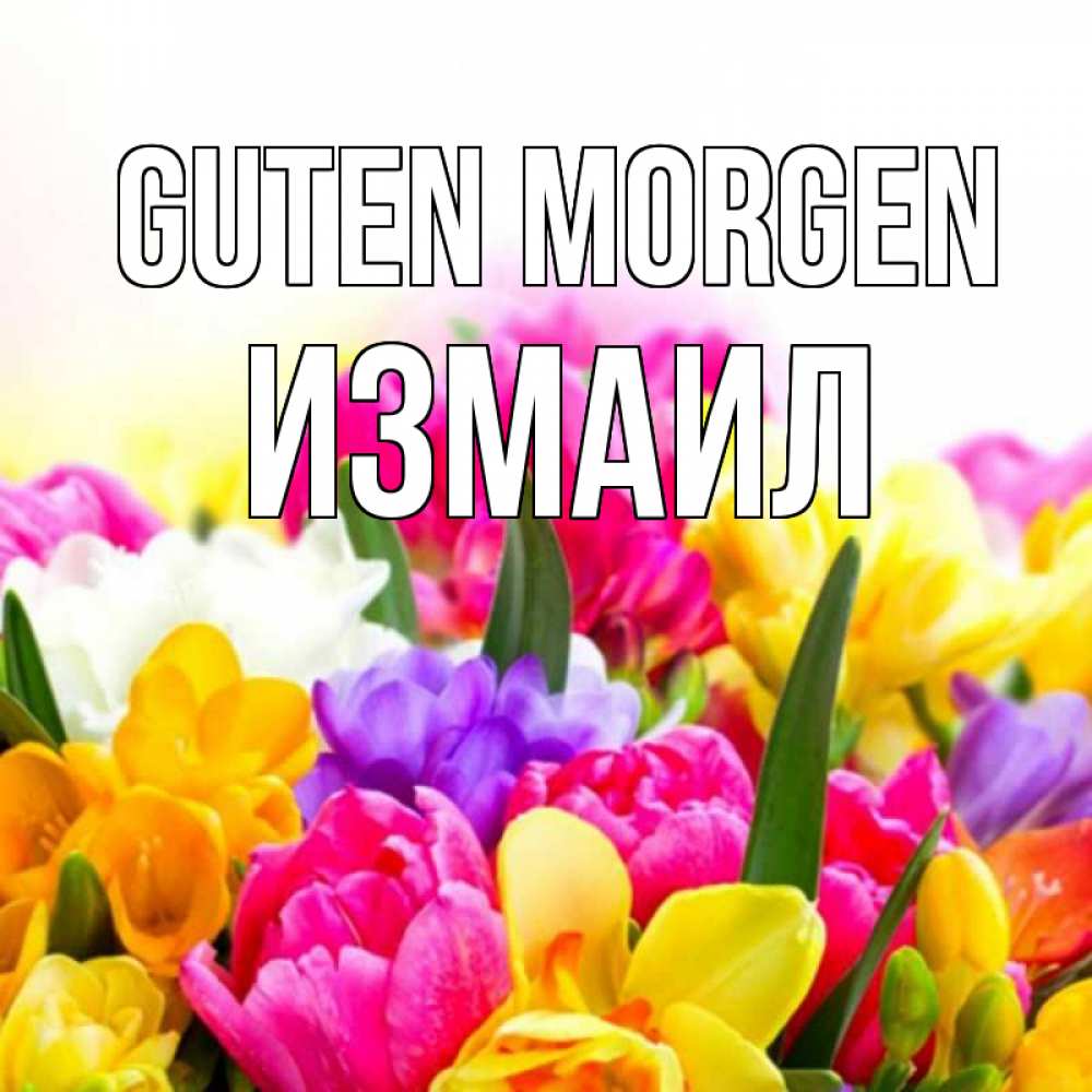 Открытка на каждый день с именем, Измаил Guten Morgen создать открытку со свое подписью Прикольная открытка с пожеланием онлайн скачать бесплатно 