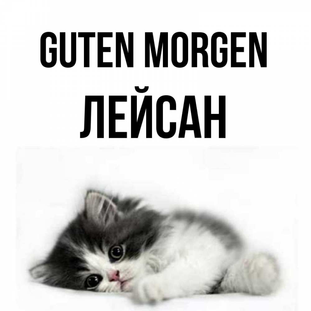 Открытка на каждый день с именем, Лейсан Guten Morgen кот лапки Прикольная открытка с пожеланием онлайн скачать бесплатно 