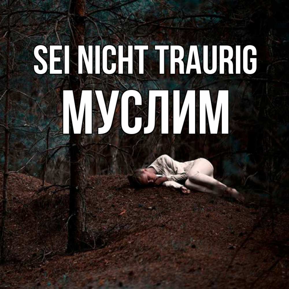 Открытка на каждый день с именем, Муслим Sei nicht traurig лес Прикольная открытка с пожеланием онлайн скачать бесплатно 
