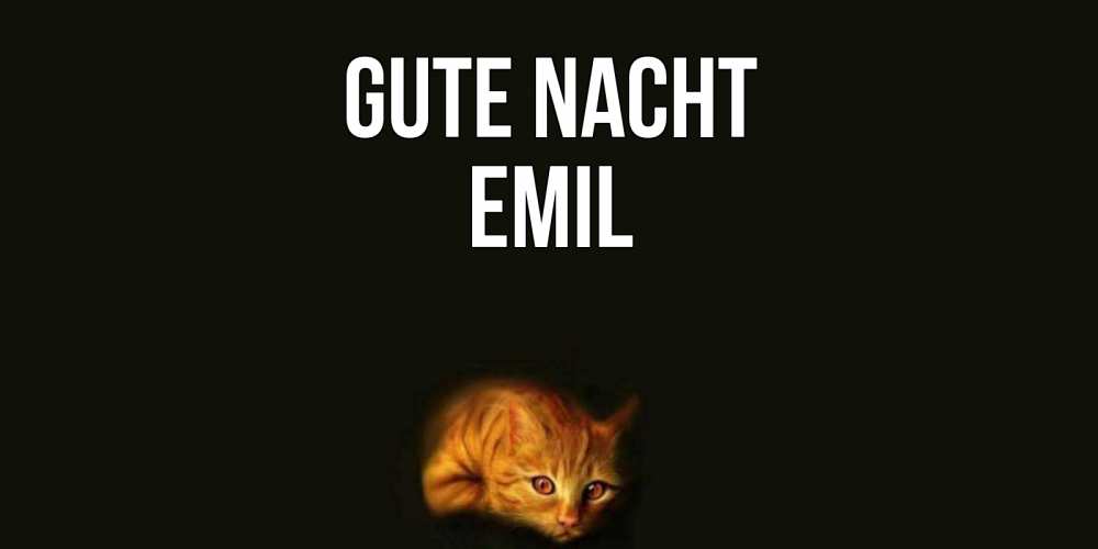 Открытка на каждый день с именем, Emil Gute Nacht кот Прикольная открытка с пожеланием онлайн скачать бесплатно 