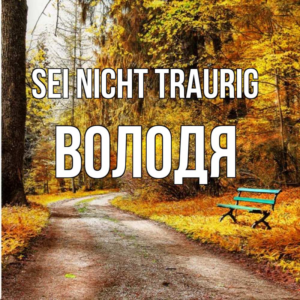 Открытка на каждый день с именем, Володя Sei nicht traurig зеленая лавочка Прикольная открытка с пожеланием онлайн скачать бесплатно 
