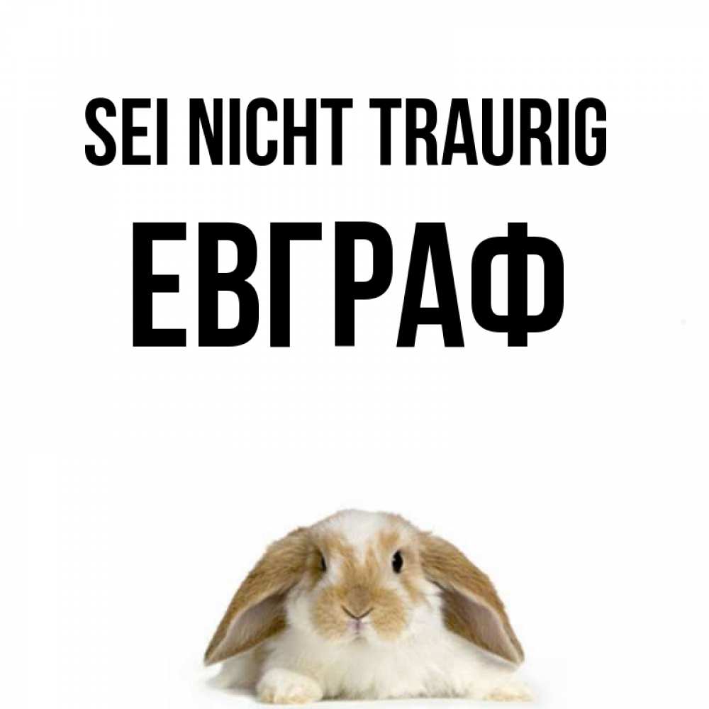 Открытка на каждый день с именем, Евграф Sei nicht traurig коричнево белый заяц с большими ушками Прикольная открытка с пожеланием онлайн скачать бесплатно 
