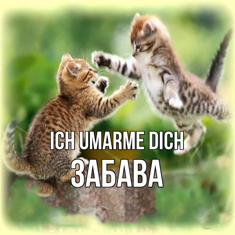 Открытка на каждый день с именем, Забава Ich umarme dich игры котят Прикольная открытка с пожеланием онлайн скачать бесплатно 