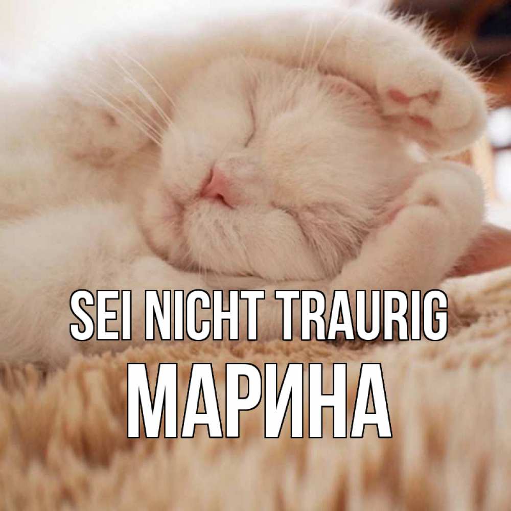 Открытка на каждый день с именем, Марина Sei nicht traurig белый кот Прикольная открытка с пожеланием онлайн скачать бесплатно 