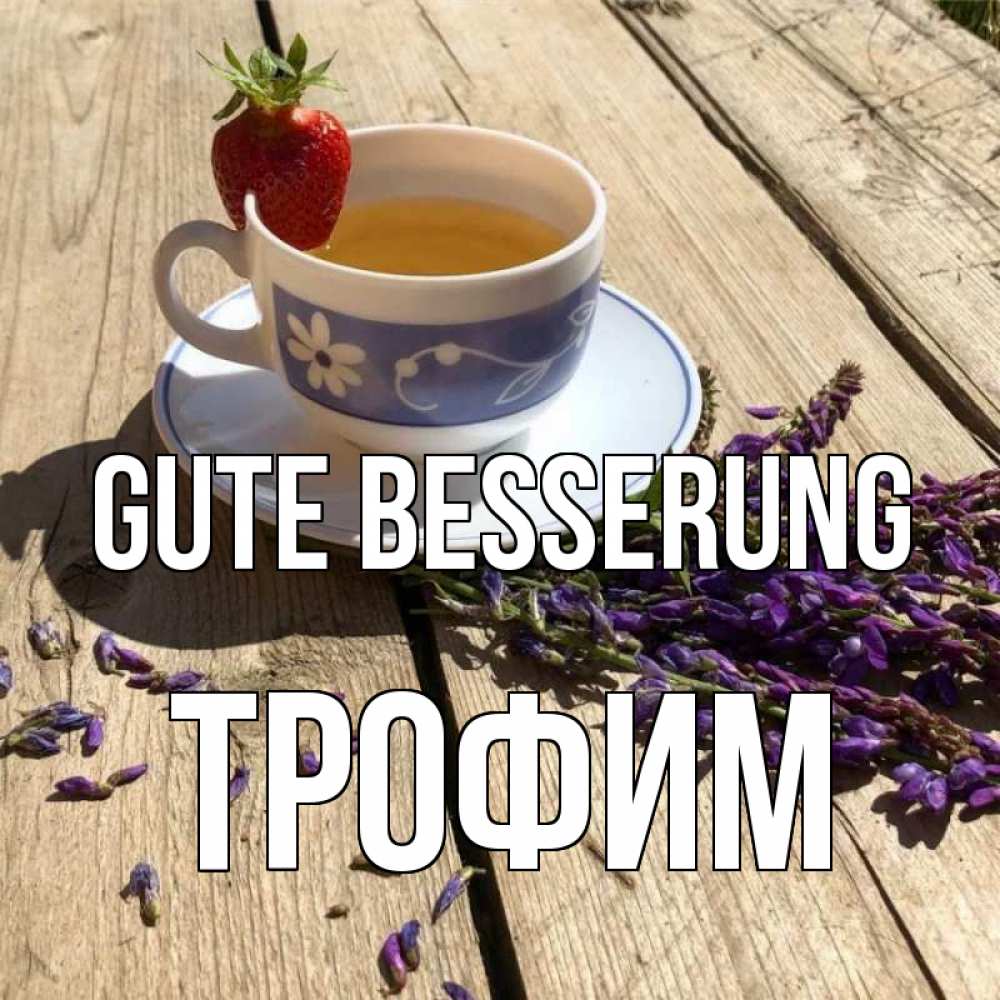Открытка на каждый день с именем, Трофим Gute Besserung чай Прикольная открытка с пожеланием онлайн скачать бесплатно 