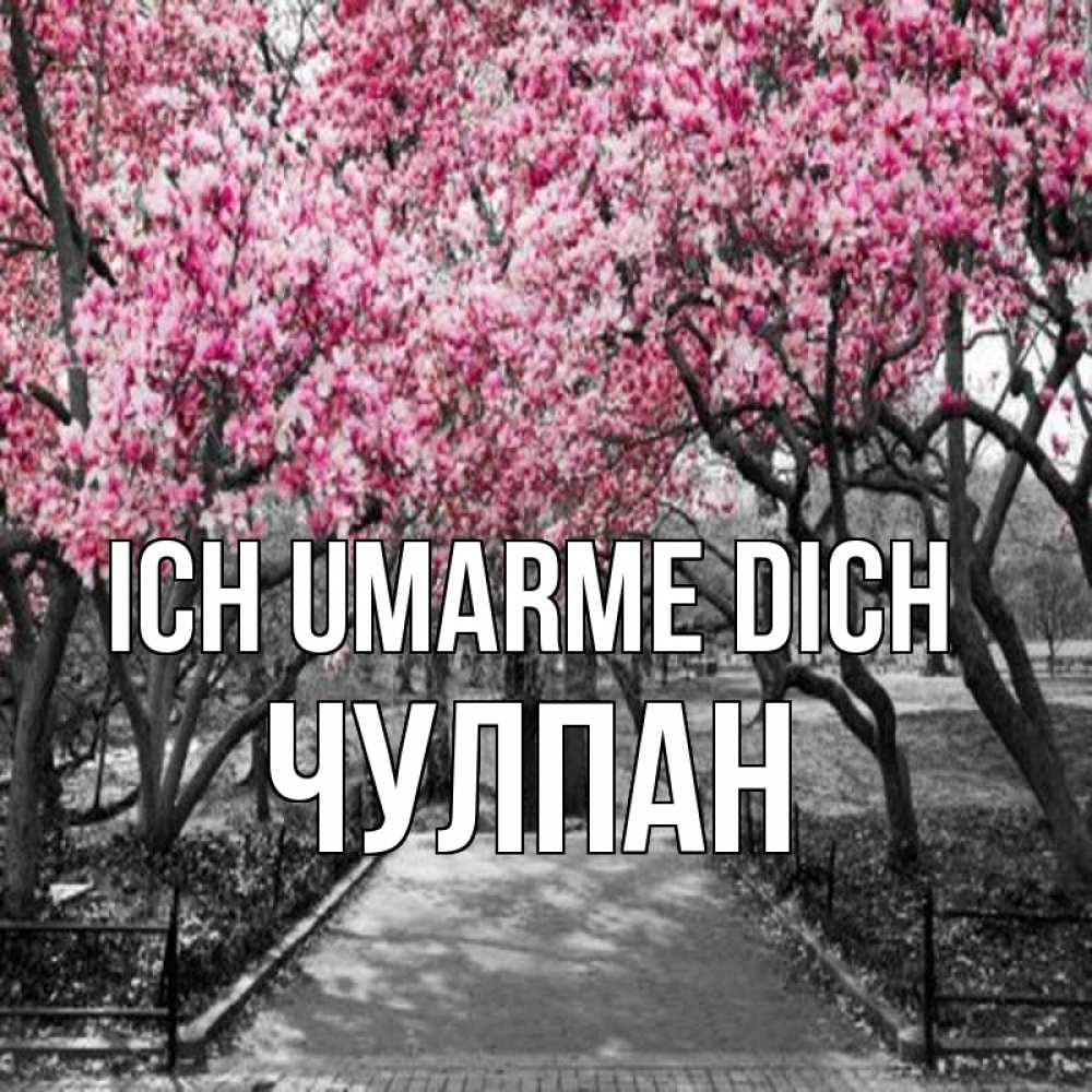 Открытка на каждый день с именем, Чулпан Ich umarme dich обработанное фото Прикольная открытка с пожеланием онлайн скачать бесплатно 