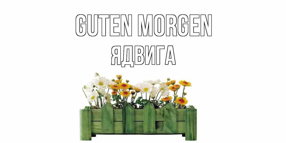 Открытка на каждый день с именем, Ядвига Guten Morgen цветы Прикольная открытка с пожеланием онлайн скачать бесплатно 
