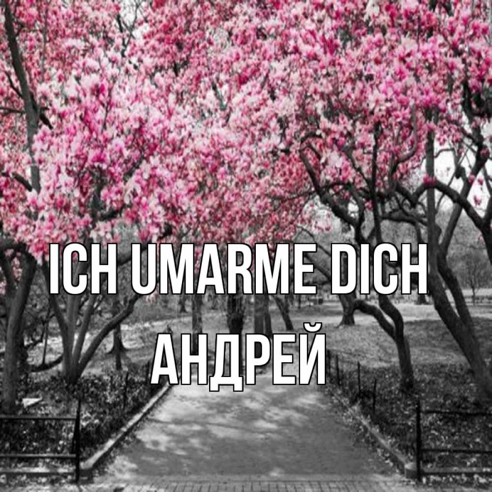 Открытка на каждый день с именем, Андрей Ich umarme dich обработанное фото Прикольная открытка с пожеланием онлайн скачать бесплатно 