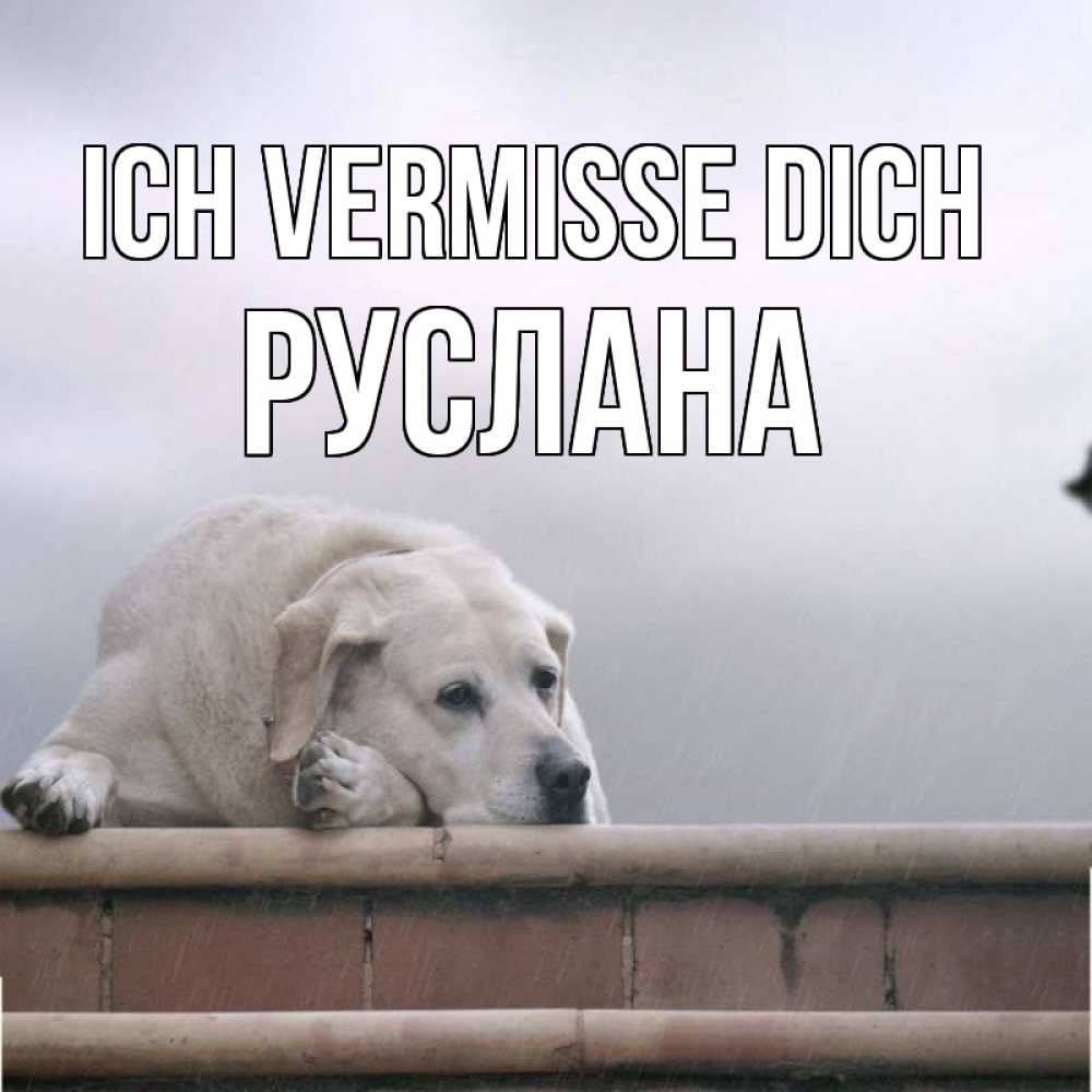 Открытка на каждый день с именем, Руслана Ich vermisse dich ждет Прикольная открытка с пожеланием онлайн скачать бесплатно 