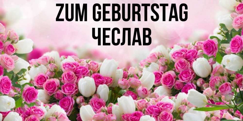 Открытка на каждый день с именем, Чеслав Zum Geburtstag открытка с разными розами Прикольная открытка с пожеланием онлайн скачать бесплатно 