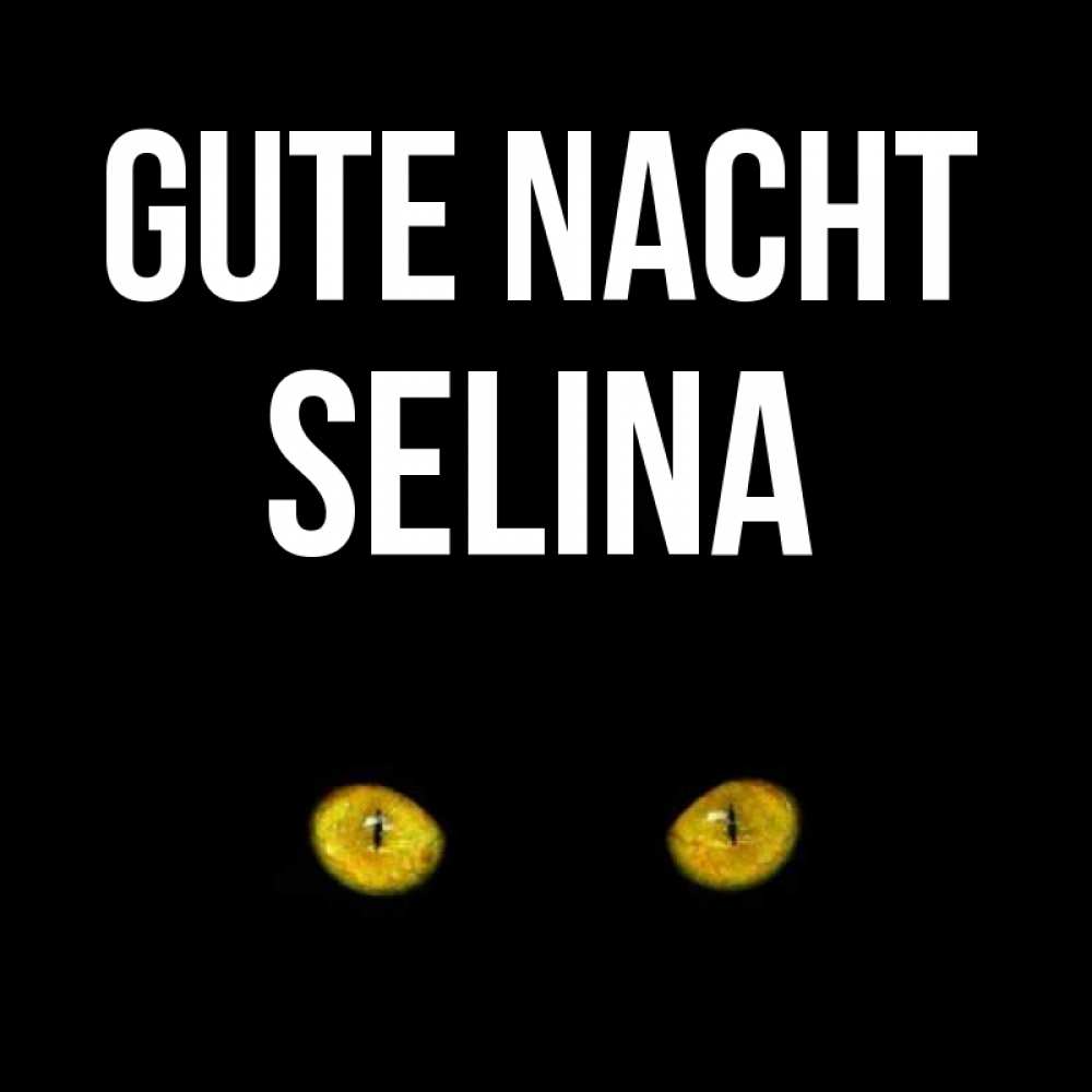 Открытка на каждый день с именем, Selina Gute Nacht сладких снов бесстрашный мой дружочек Прикольная открытка с пожеланием онлайн скачать бесплатно 