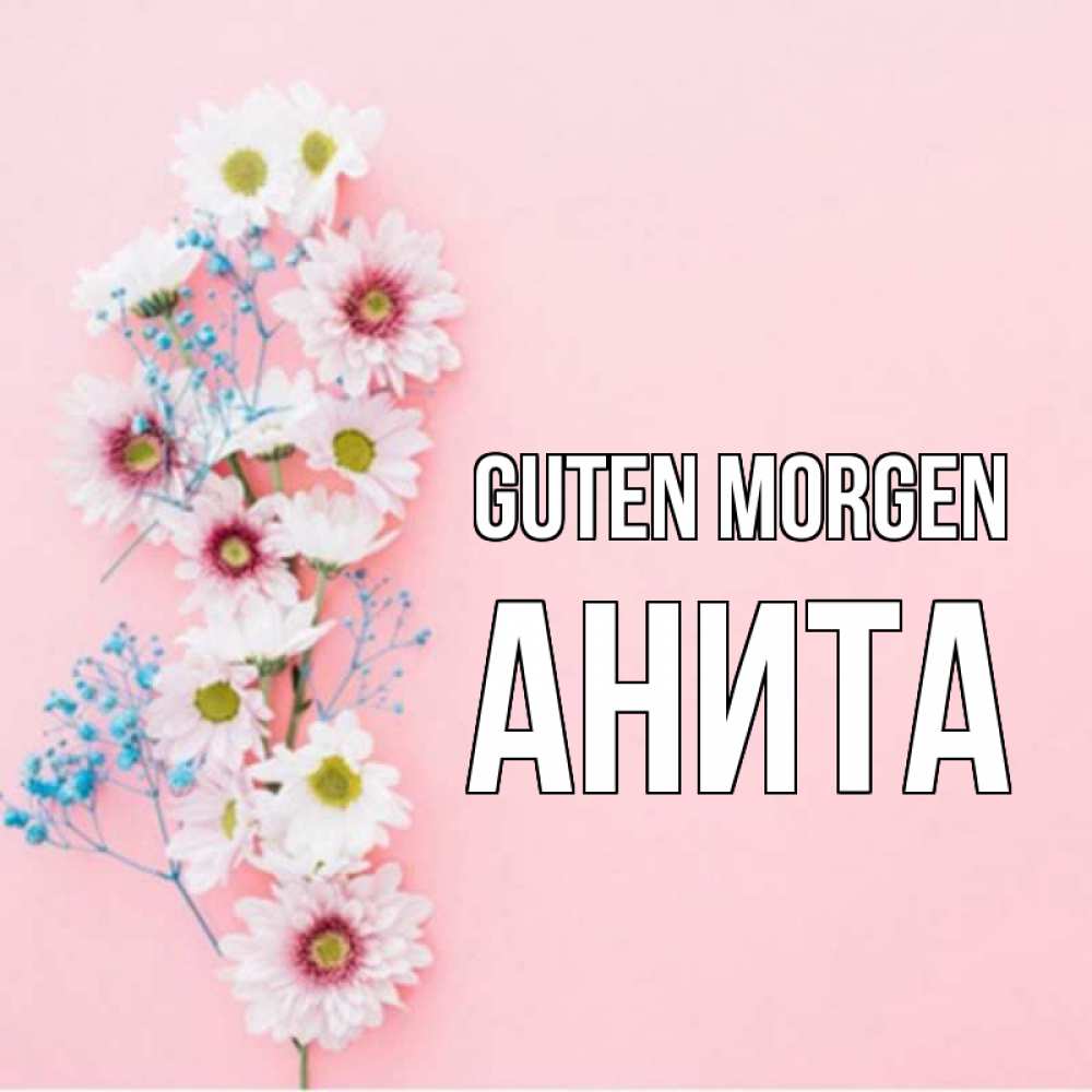 Открытка на каждый день с именем, Анита Guten Morgen цветы с подписью Прикольная открытка с пожеланием онлайн скачать бесплатно 
