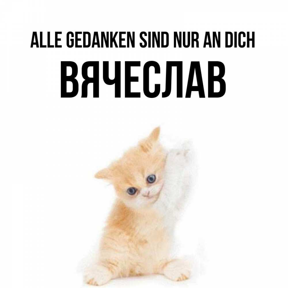 Открытка на каждый день с именем, Вячеслав Alle Gedanken sind nur an dich зверушки и милота Прикольная открытка с пожеланием онлайн скачать бесплатно 