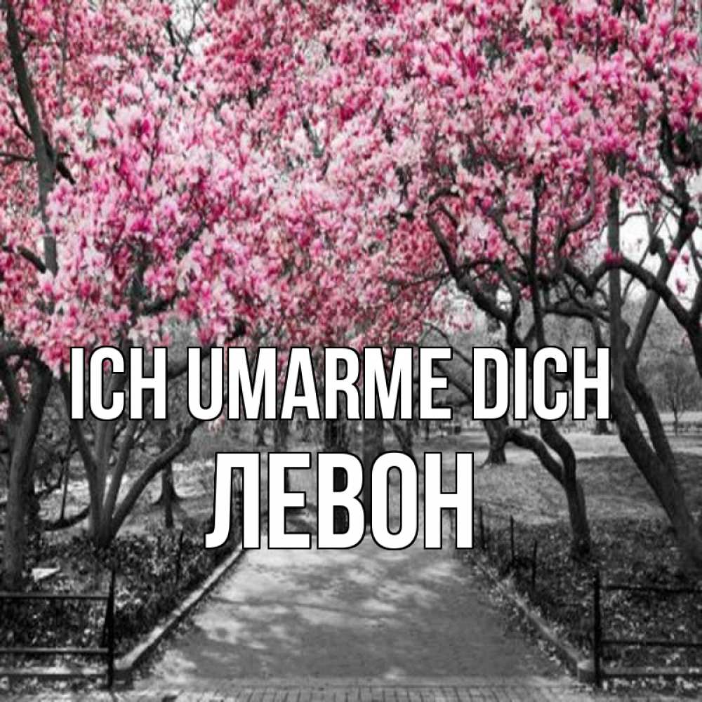 Открытка на каждый день с именем, Левон Ich umarme dich обработанное фото Прикольная открытка с пожеланием онлайн скачать бесплатно 