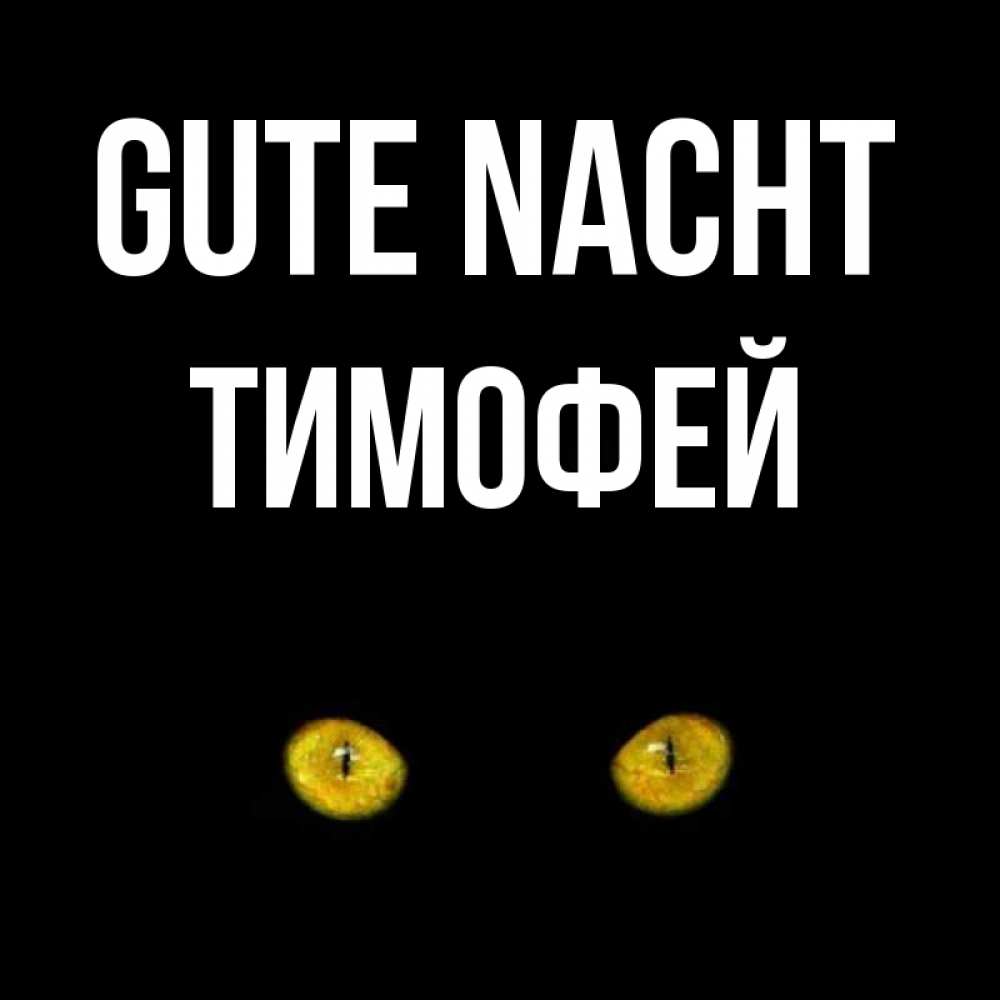 Открытка на каждый день с именем, Тимофей Gute Nacht сладких снов бесстрашный мой дружочек Прикольная открытка с пожеланием онлайн скачать бесплатно 