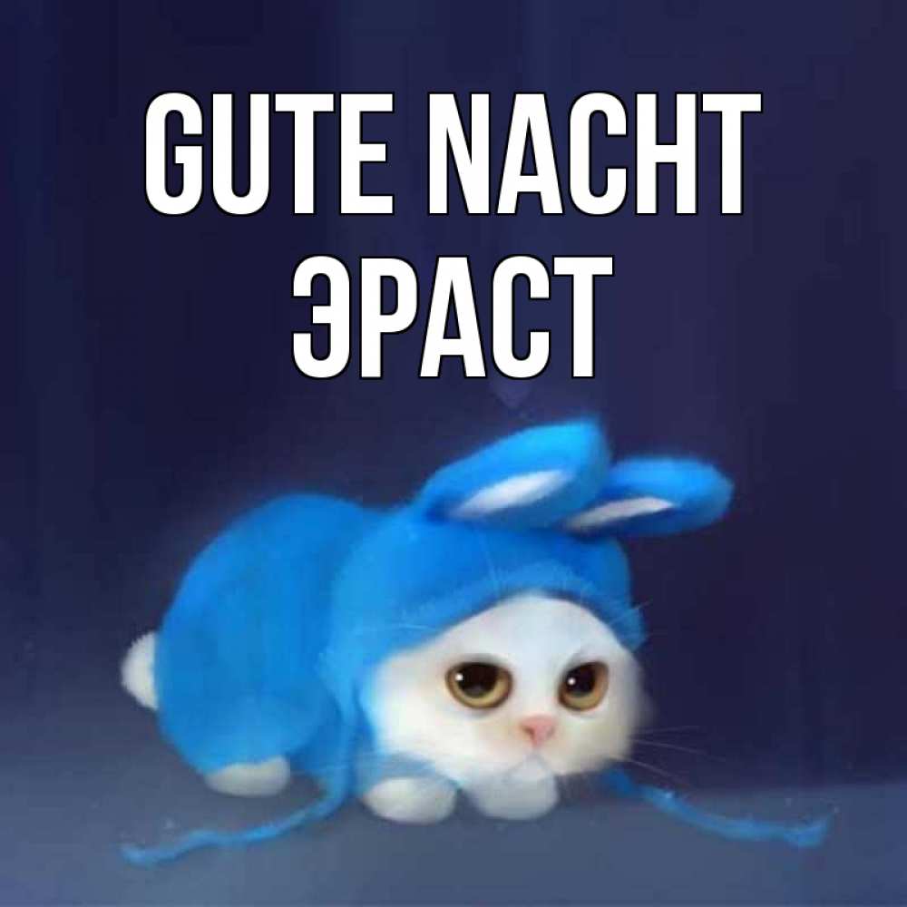 Открытка на каждый день с именем, Эраст Gute Nacht кот в голубом костюме кролика с ушками Прикольная открытка с пожеланием онлайн скачать бесплатно 