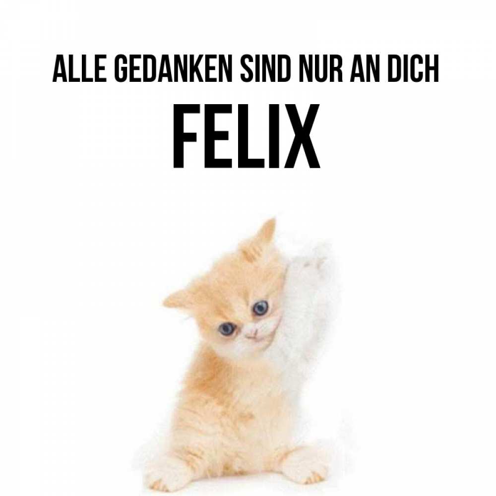 Открытка на каждый день с именем, Felix Alle Gedanken sind nur an dich зверушки и милота Прикольная открытка с пожеланием онлайн скачать бесплатно 