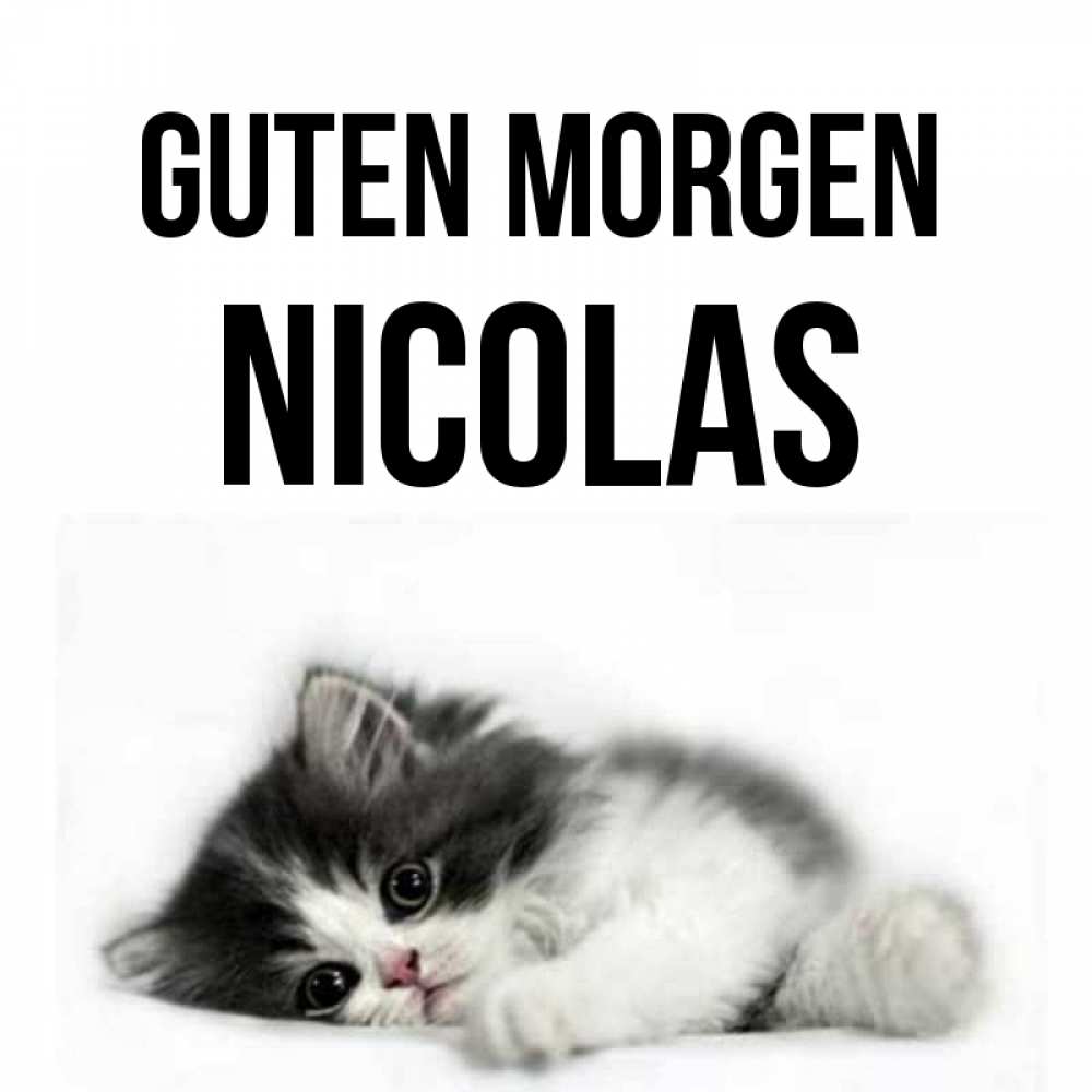 Открытка на каждый день с именем, Nicolas Guten Morgen кот лапки Прикольная открытка с пожеланием онлайн скачать бесплатно 
