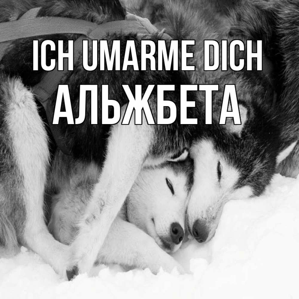Открытка на каждый день с именем, Альжбета Ich umarme dich собачки в упряжке Прикольная открытка с пожеланием онлайн скачать бесплатно 