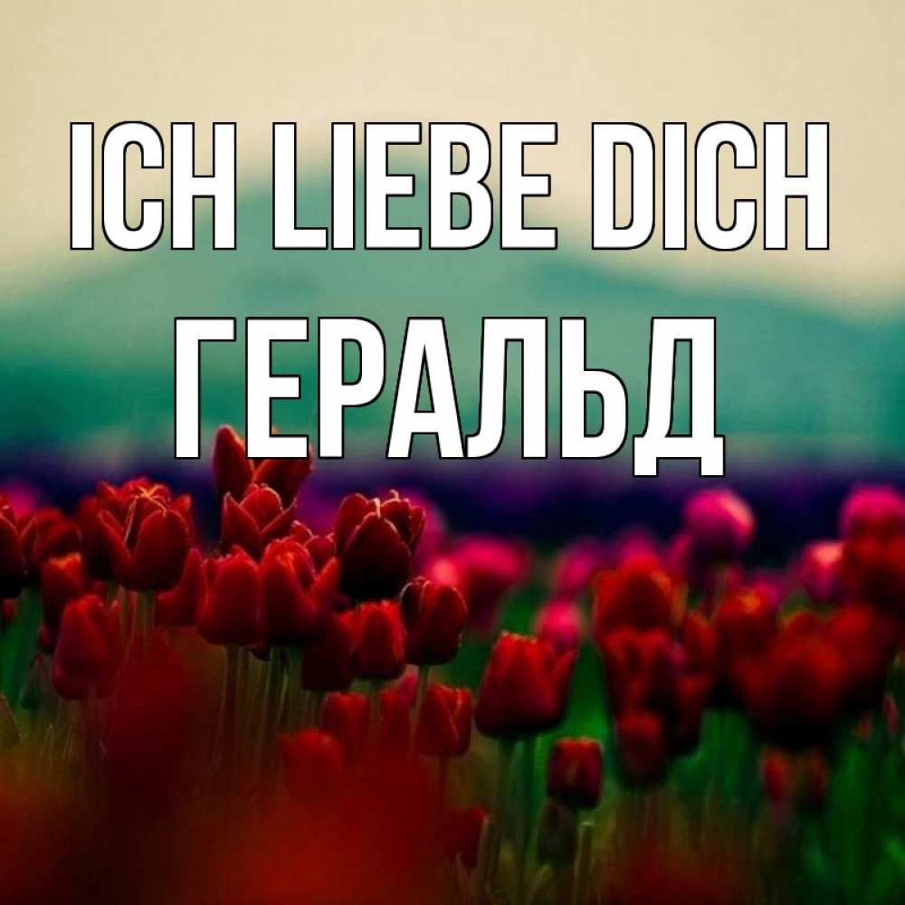 Открытка на каждый день с именем, Геральд Ich liebe dich тюльпаны 4 Прикольная открытка с пожеланием онлайн скачать бесплатно 