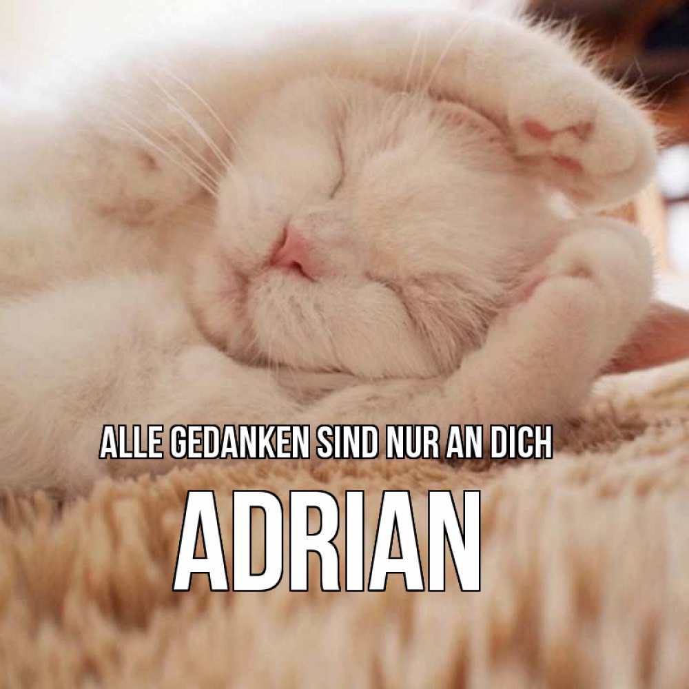 Открытка на каждый день с именем, Adrian Alle Gedanken sind nur an dich для любимой девушки милота Прикольная открытка с пожеланием онлайн скачать бесплатно 