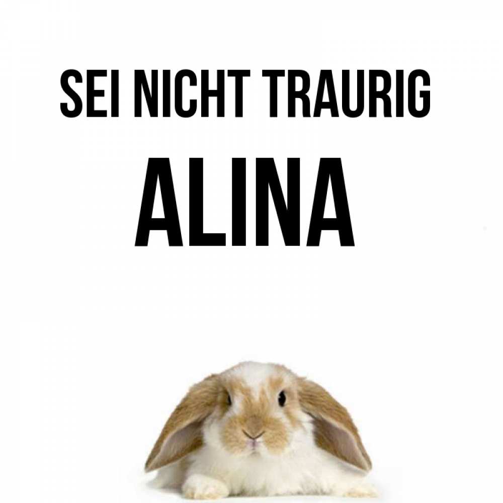Открытка на каждый день с именем, Alina Sei nicht traurig коричнево белый заяц с большими ушками Прикольная открытка с пожеланием онлайн скачать бесплатно 