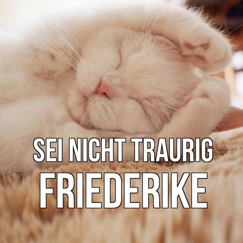 Открытка на каждый день с именем, Friederike Sei nicht traurig белый кот Прикольная открытка с пожеланием онлайн скачать бесплатно 