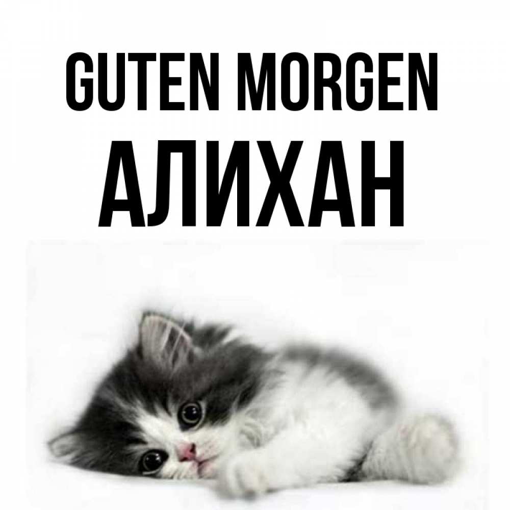 Открытка на каждый день с именем, Алихан Guten Morgen кот лапки Прикольная открытка с пожеланием онлайн скачать бесплатно 