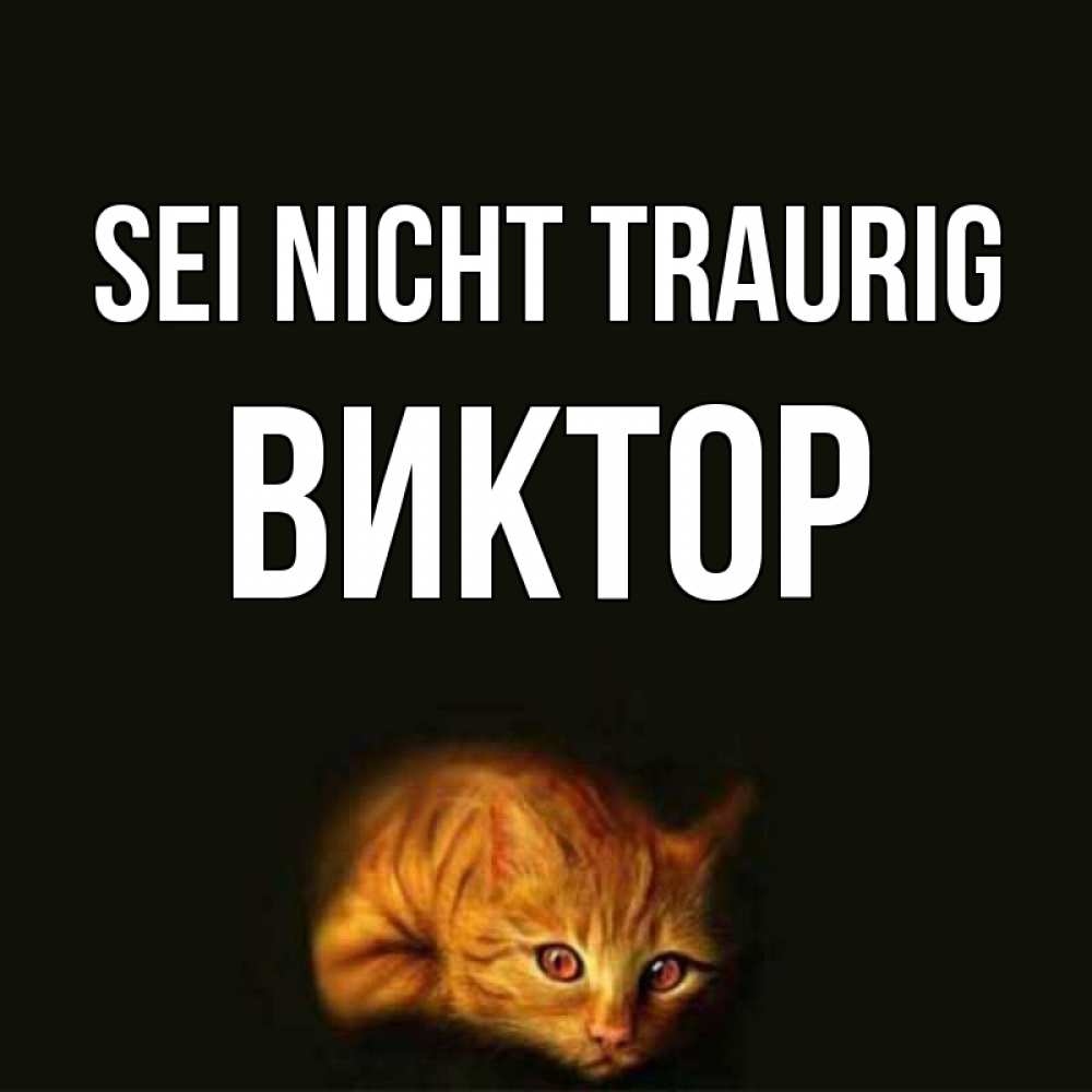 Открытка на каждый день с именем, Виктор Sei nicht traurig лежащий кот в темноте Прикольная открытка с пожеланием онлайн скачать бесплатно 